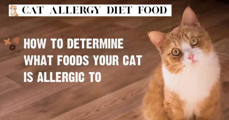 cat allergy diet food