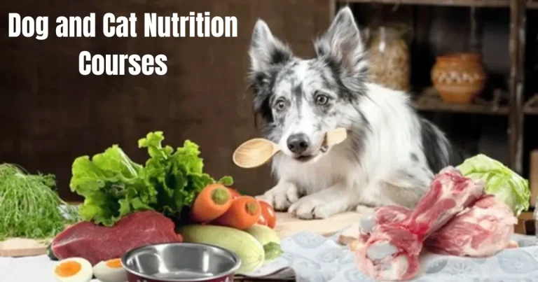 dog and cat nutrition courses