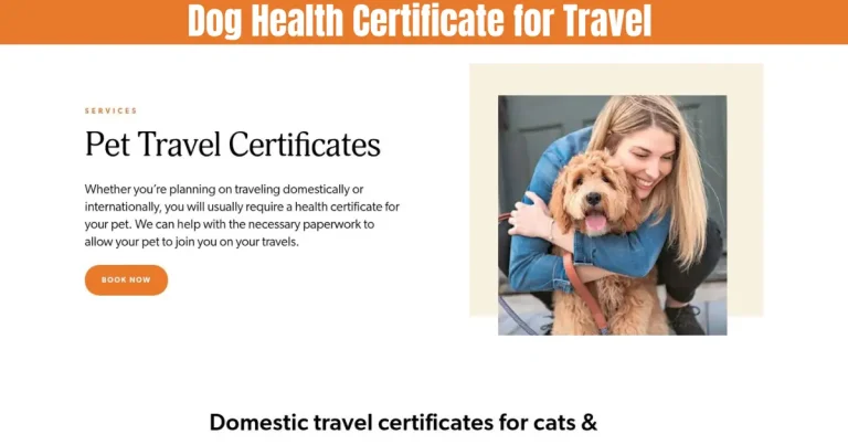 dog health certificate for travel