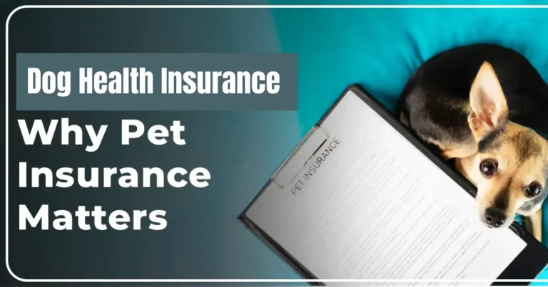 dog health insurance