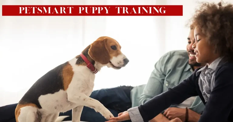 Petsmart Puppy Training – Guide Benefits Cost And What To Expect petsmart puppy training